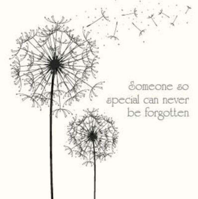 Sympathy Card Seed Head Design By Florentine Sympathy Card Seed head Design by Florentine. 'A message of sympathy on the loss of one who meant so much' on the front. 'Thinking of you at this sad time' on the inside. White envelope included. Size 22x10cm